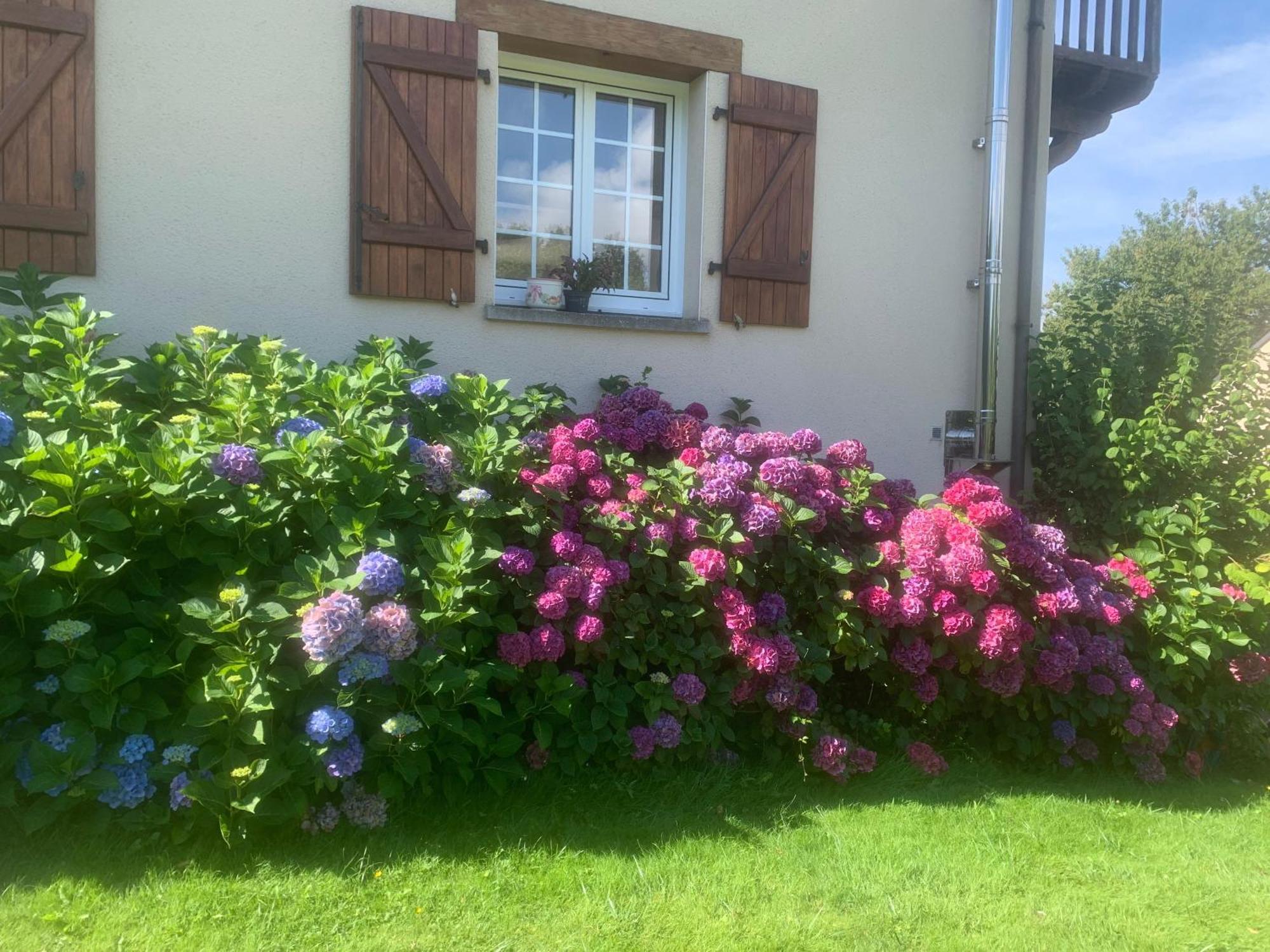 Chambres D'Hotes Le Bignon Dans Les Alpes Mancelles Villaines-la-Juhel Exteriör bild